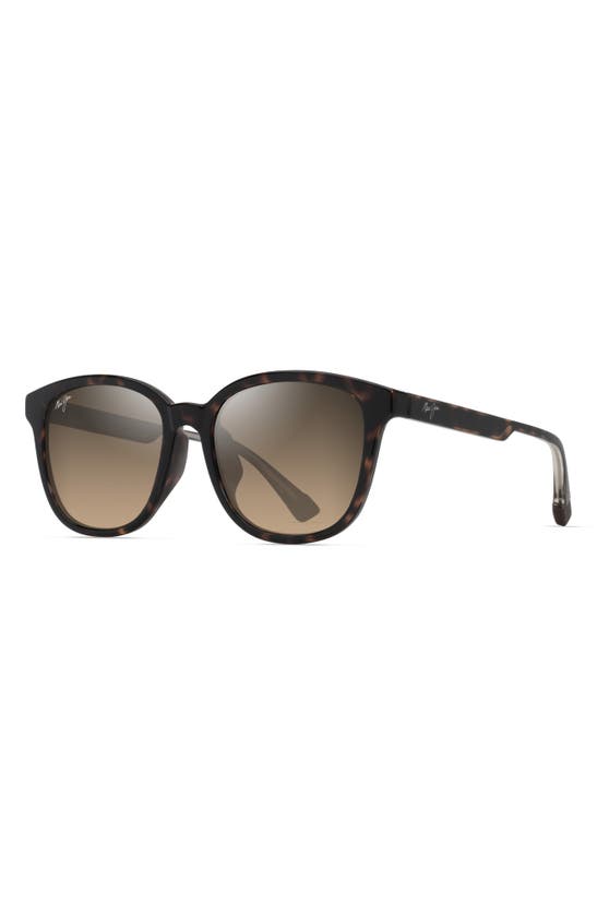 Maui Jim Kuikahi 55mm Gradient Polarizedplus2® Square Sunglasses In Shiny Dark Havana W/trans Yllw