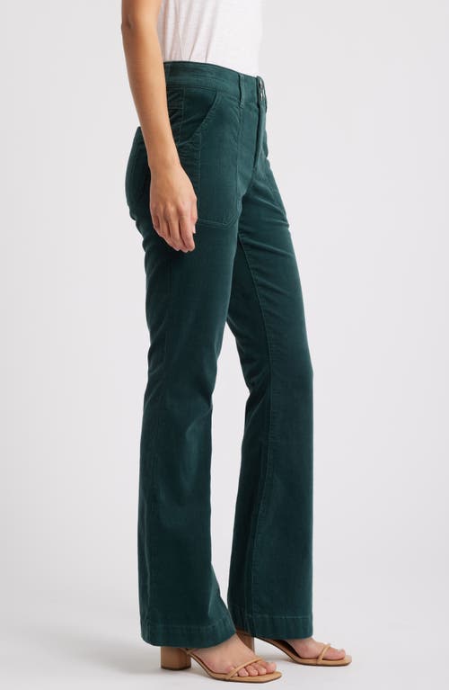 Shop Wit & Wisdom Madison 'ab'solution High Waist Bootcut Corduroy Pants In Dusty Spruce