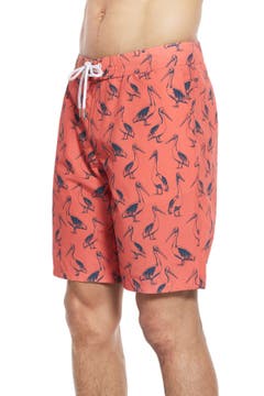 bonobos