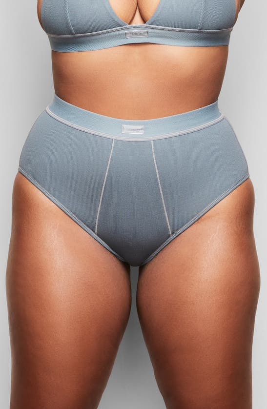 Skims Cotton Rib Briefs In Kyanite