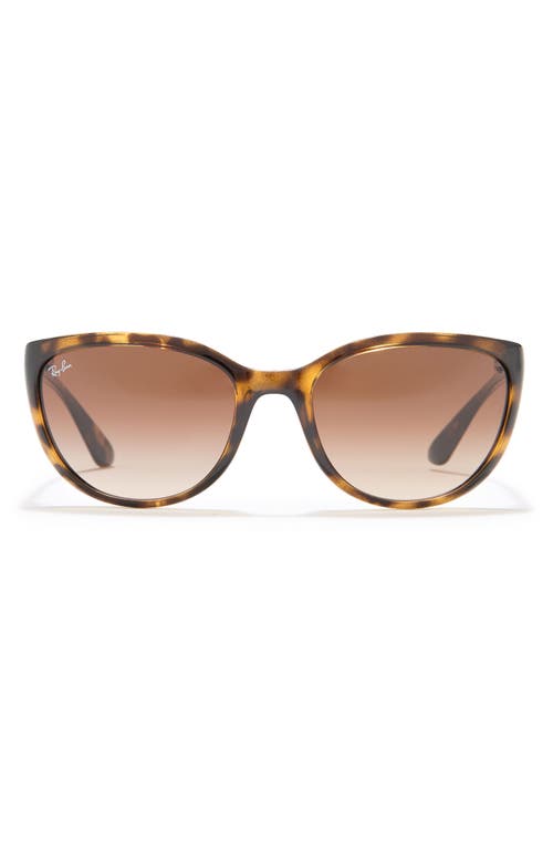 Shop Ray Ban Ray-ban 59mm Cat Eye Sunglasses In Light Havana/brown Gradient