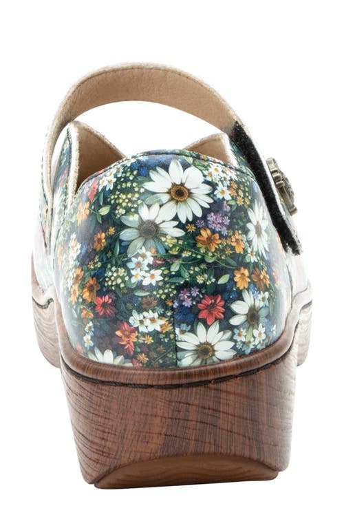 Alegria By Pg Lite Opheliah Clog In Sugar N Spice