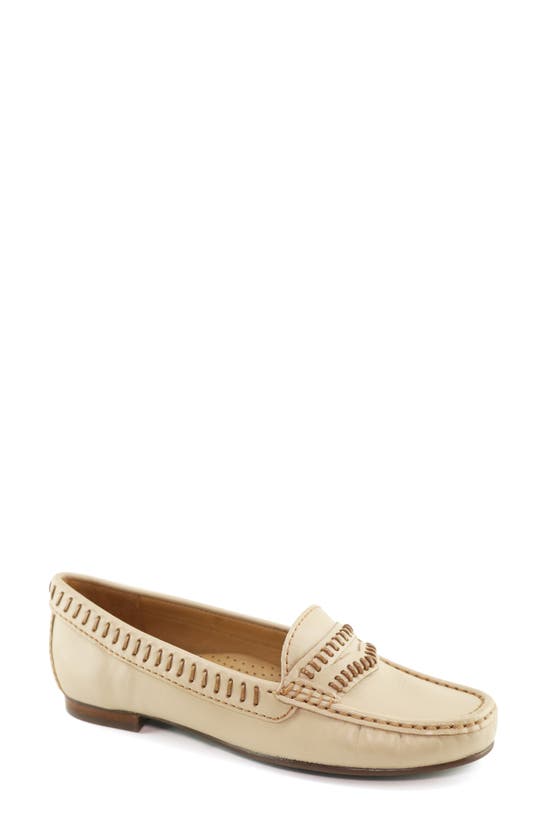 Driver Club Usa Maple Ave Penny Loafer In Cream Nappa/ Contrast Stitch
