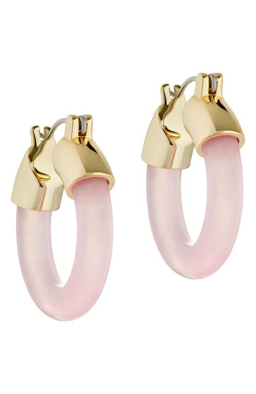 Shop Ted Baker London Marblla Hoop Earrings In Gold Tone/pink