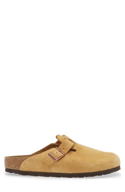 Shop Birkenstock Boston Clog In Latte Cream Suede