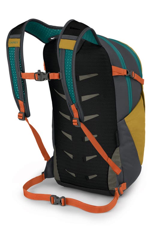 Shop Osprey Daylite Plus Backpack In Tumbleweed Yellow