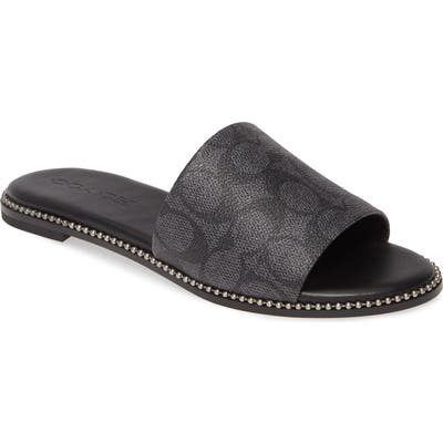 Coach Harper Slide Sandal, Grey