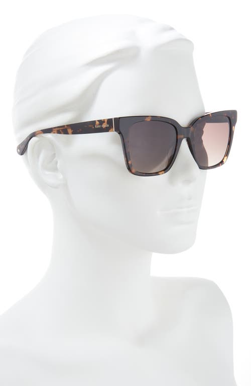 Shop Kate Spade New York Harlow Gs 55mm Gradient Square Sunglasses In Beige Havana/brown Sf