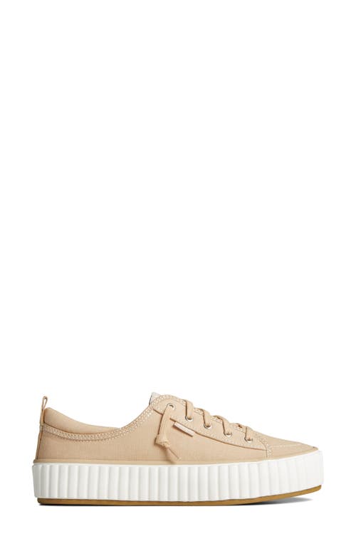 Shop Sperry Top-sider® Pier Wave Platform Sneaker In Beige