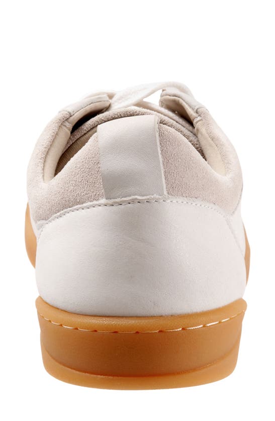 Shop Softwalk ® Athens Sneaker In White Leather