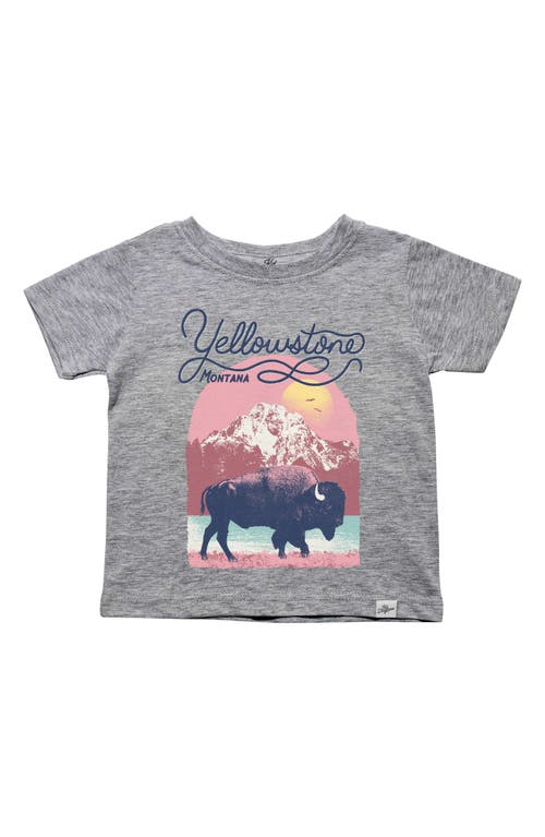 Shop Kid Dangerous Kids' Yellowstone Bison Graphic T-shirt In Heather Grey