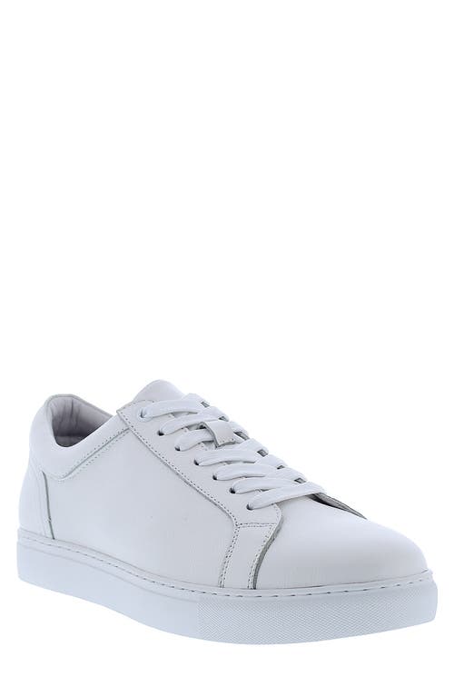 Vester Leather Low Top Sneaker in White