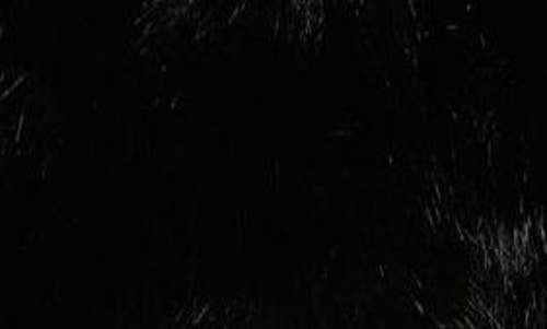 Et Ochs Faux Fur Jacket In Black