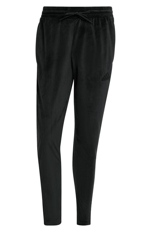 Shop Adidas Sportswear House Of Tiro Recycled Polyester Velour Track Pants In Black