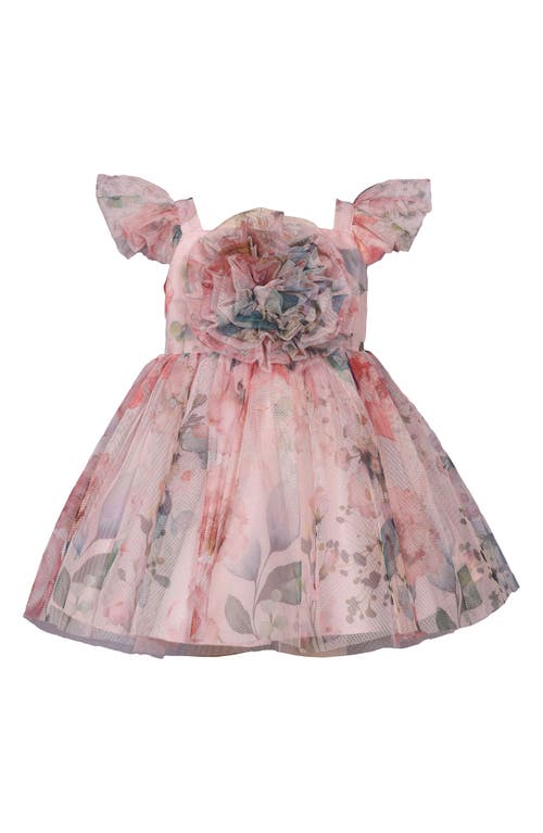 Iris & Ivy Kids' Floral Mesh Party Dress In Blush