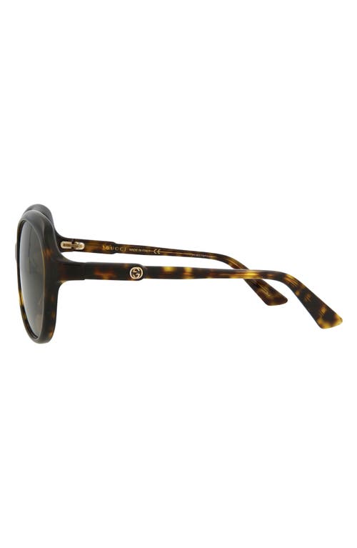 Gucci 58mm Core Oversized Sunglasses In Havana Havana Brown