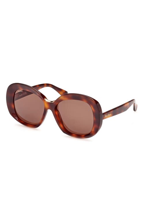 Shop Max Mara Edna 55mm Round Sunglasses In Dark Havana/brown