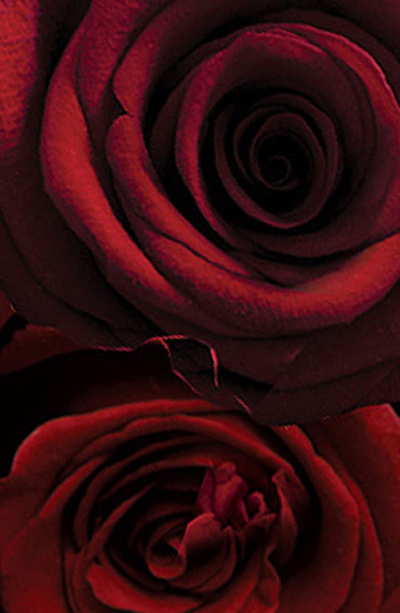 Red Roses Cologne