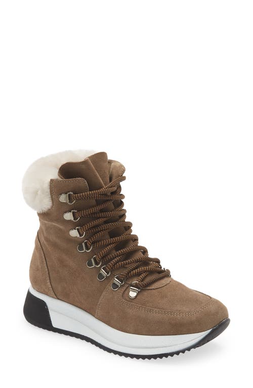 Cordani Layton Genuine Shearling Lined Boot in Taupe Suede at Nordstrom, Size 4.5Us