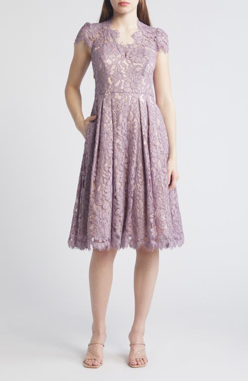 Lace Fit & Flare Cocktail Dress in Lavender
