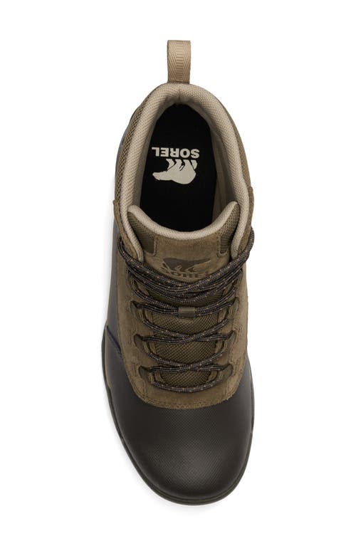 Sorel Men's Buxton Lite Lace Waterproof Boot In Major/jet