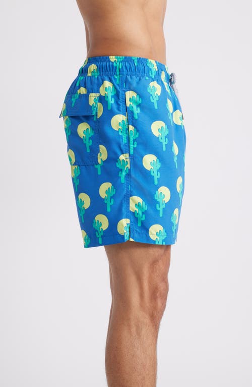 TOM & TEDDY TOM & TEDDY CACTUS SWIM TRUNKS