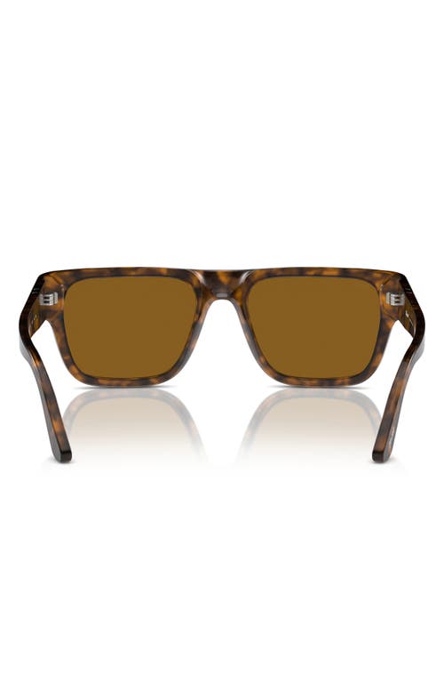 Persol 55mm Square Sunglasses In Brown Havana