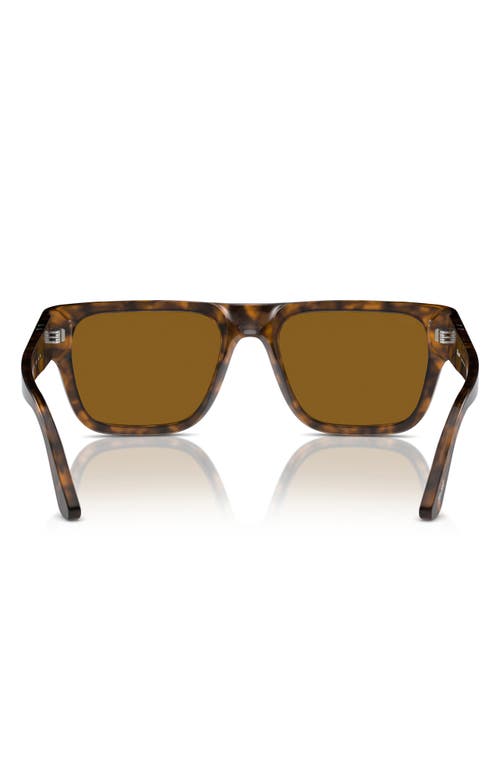 Shop Persol 57mm Round Sunglasses In Brown Havana