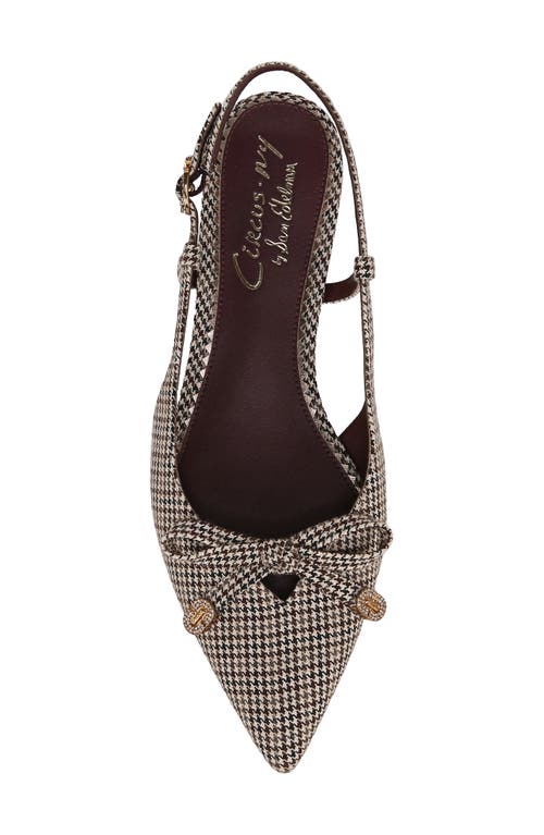 Shop Circus Ny By Sam Edelman Lafayette Pointed Toe Slingback Sandal In Black Natural Multi