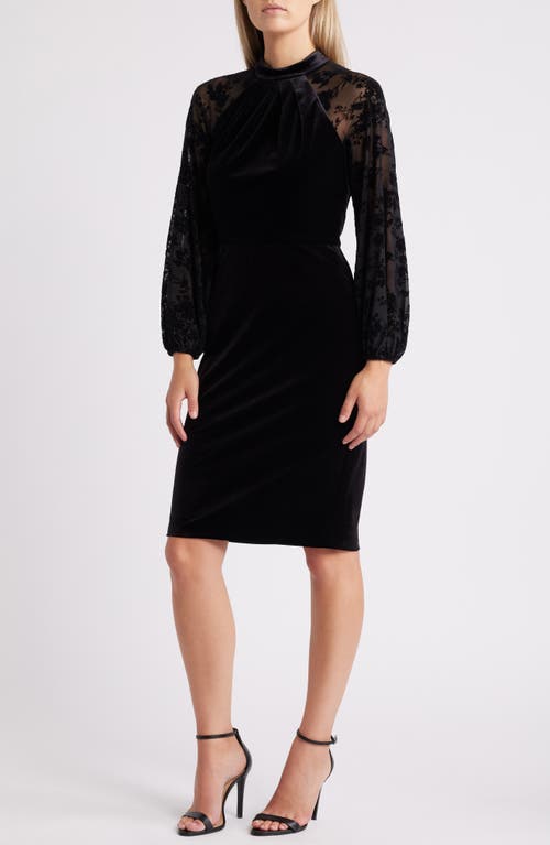 Shop Eliza J Long Sleeve Velvet Cocktail Dress In Black