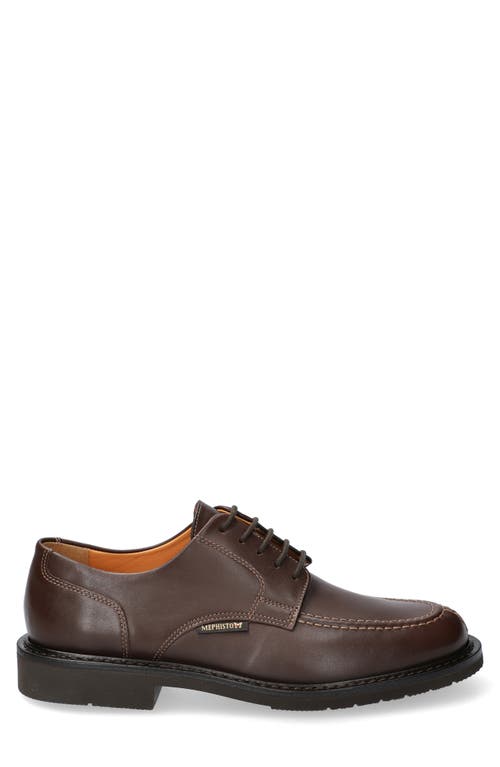 Mephisto Phoebus Derby In Dark Brown Smooth