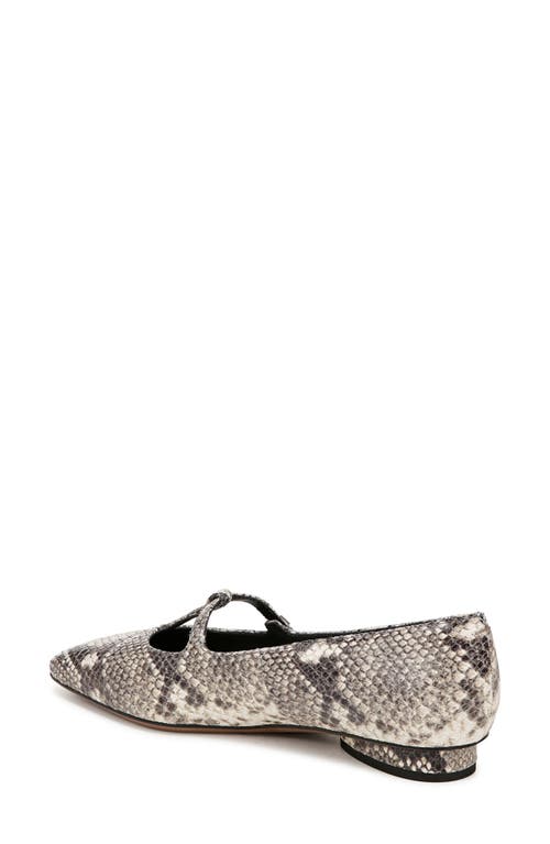 Shop Sarto By Franco Sarto Carmela Square Toe Mary Jane Flat In Grey Multi