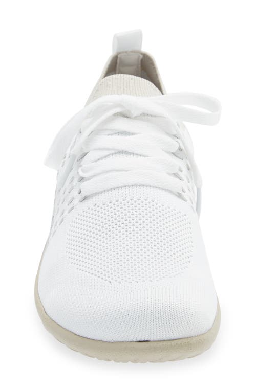 Shop Naot Tama Sneaker In White/dark Gray Knit