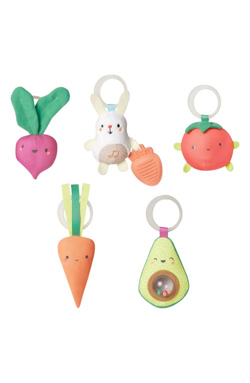 Skip Hop Farmstand Grow & Play Activity Gym In Multi