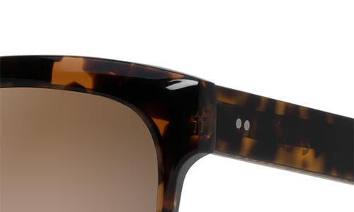 Maui Jim Pehu 55mm Polarizedplus2® Sunglasses In Tortoise/honey Crystal