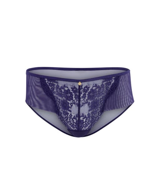 Shop Adore Me Bonnie Hipster Panties In Dark Blue