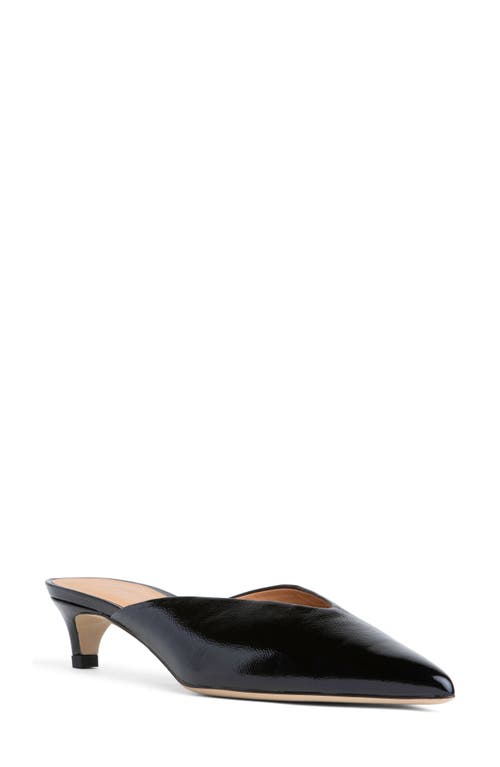 BEAUTIISOLES Gal Pointed Toe Kitten Heel Mule in Black 