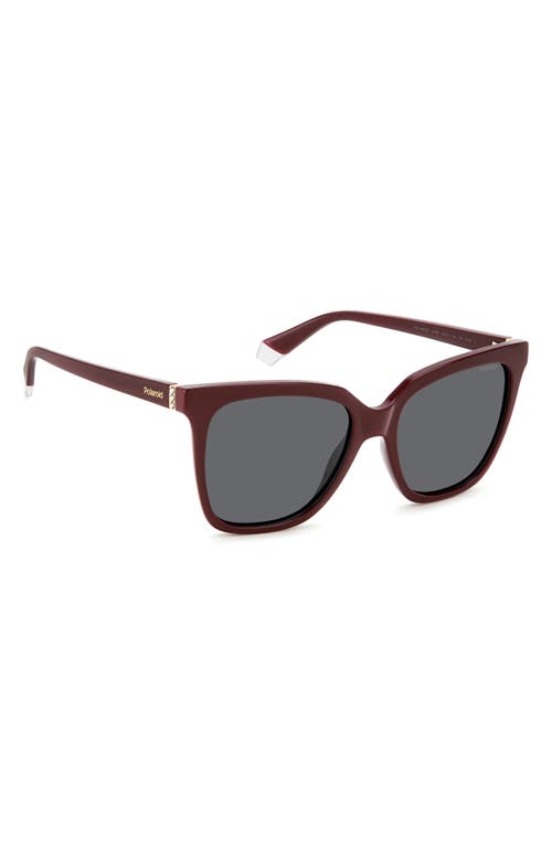 Shop Polaroid 55mm Polarized Square Sunglasses In Burgundy/gray Polarized