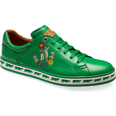 Bally Anistern Sneaker, Green