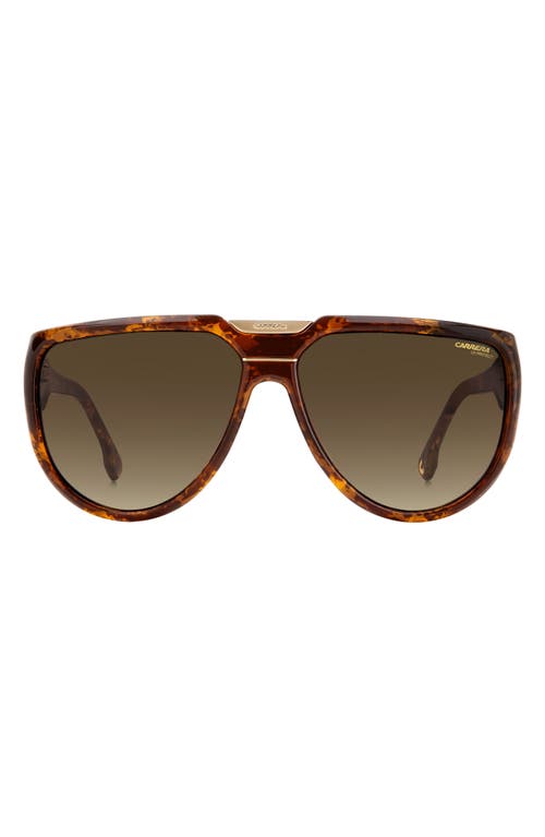 62mm Oversize Round Sunglasses in Dark Brown