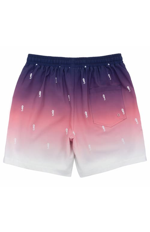Rokka&rolla Compression Liner Stretch Swim Trunks Upf 50+ In Seahorse