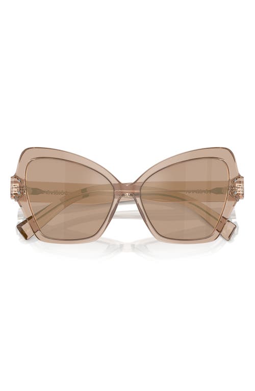 Dolce & Gabbana 56mm Butterfly Sunglasses in Camel at Nordstrom