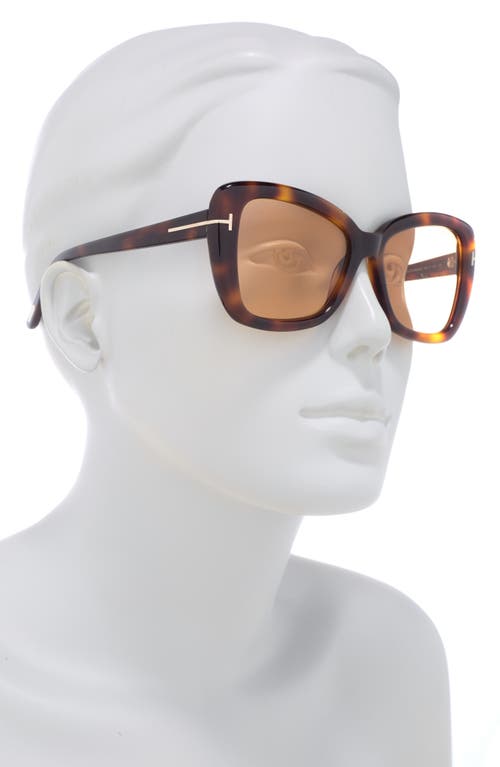 Tom Ford Maeve 55mm Butterfly Sunglasses In Blonde Havana/brown
