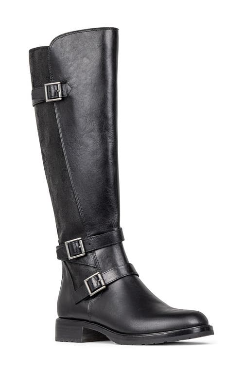 Donald Pliner Carlota Knee High Moto Boot in Black 