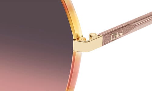 Chloé Oversize-frame Sunglasses In Dark Havana