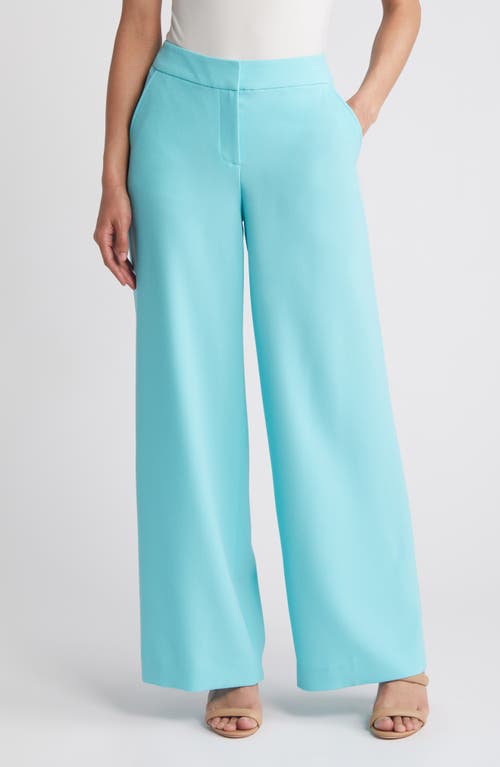 Tahari ASL Wide Leg Pants at Nordstrom,