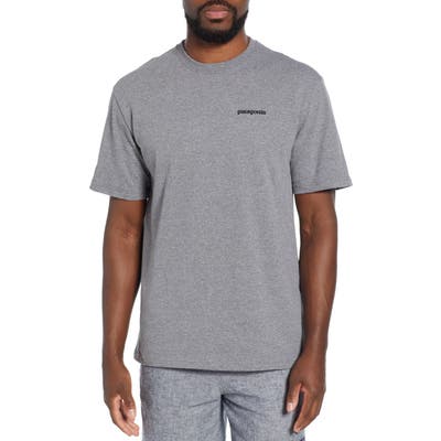 Patagonia Fitz Roy Bison Responsibili-Tee T-Shirt, Grey