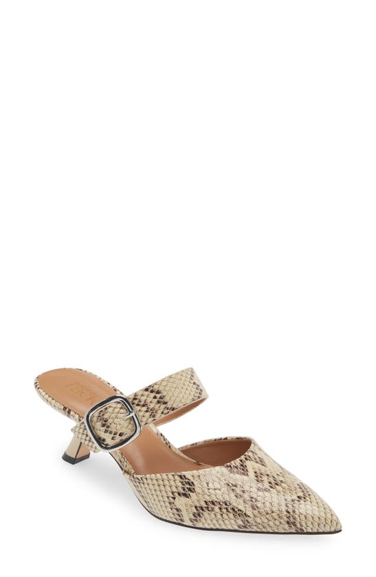 Nordstrom Rack Fawn Mule In Black-white Snake