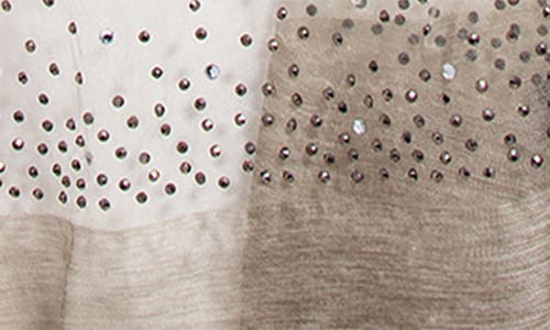 Saachi Crystal Embellished Silk & Wool Scarf In Beige