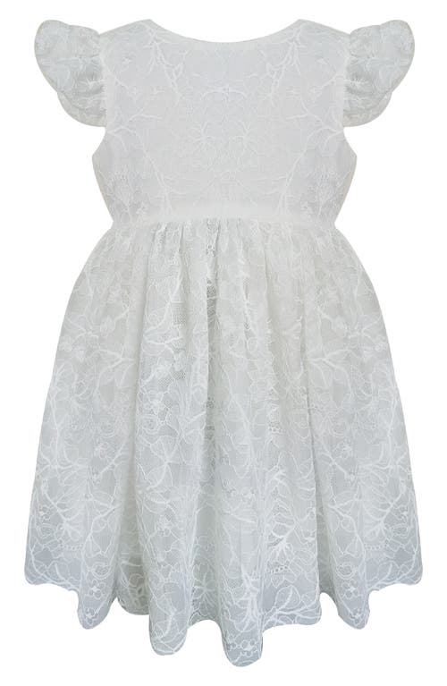 Popatu Lace Flutter Sleeve Dress in White at Nordstrom, Size 12M